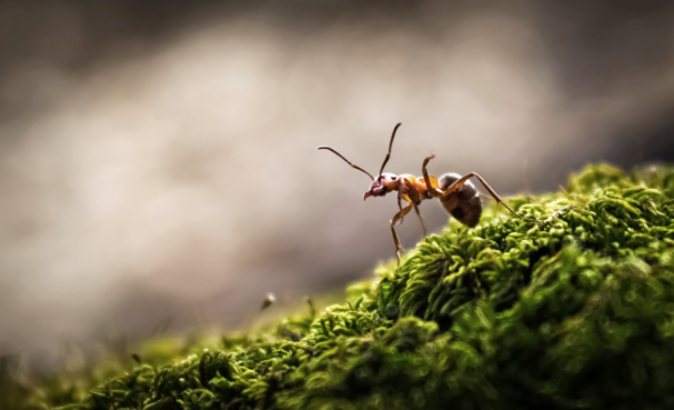 AdobeStock_145224683